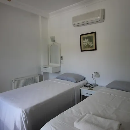 Orkide Villa *